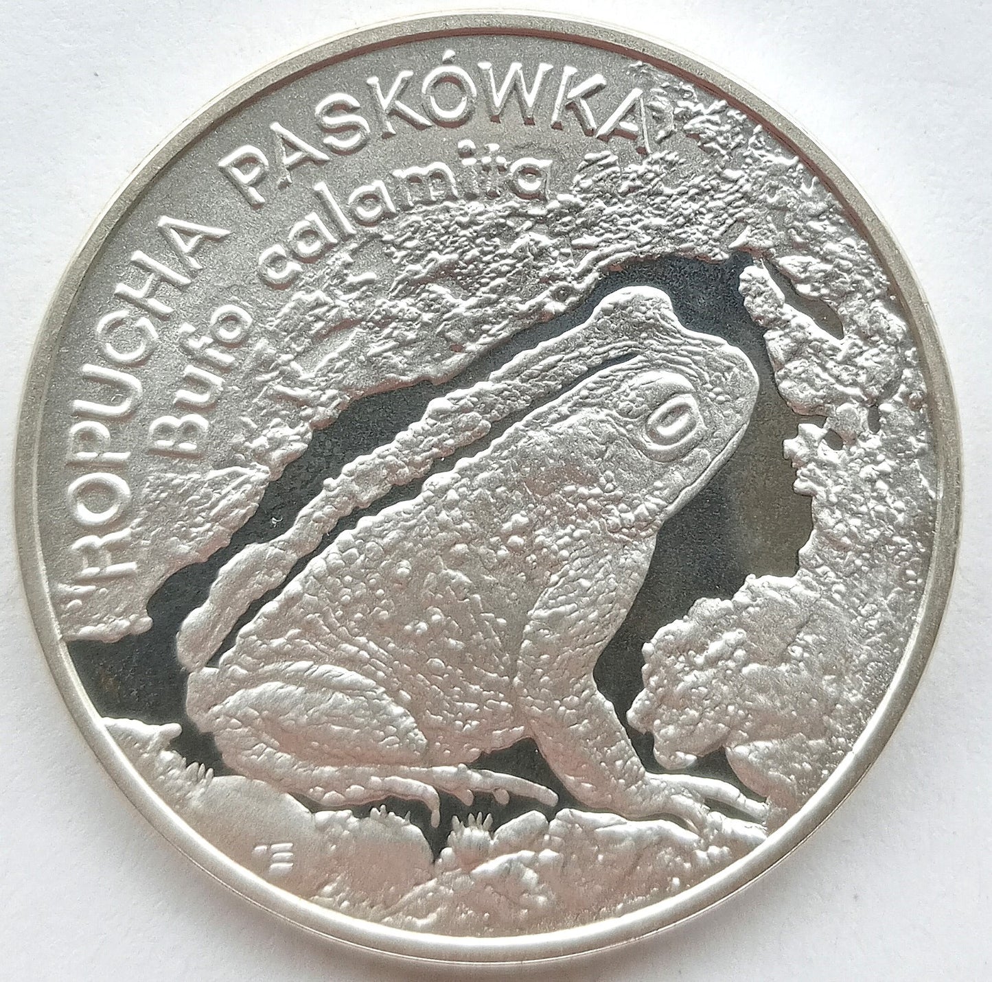 20 Złotych 1998 Zwierzęta Świata -ropucha paskówka