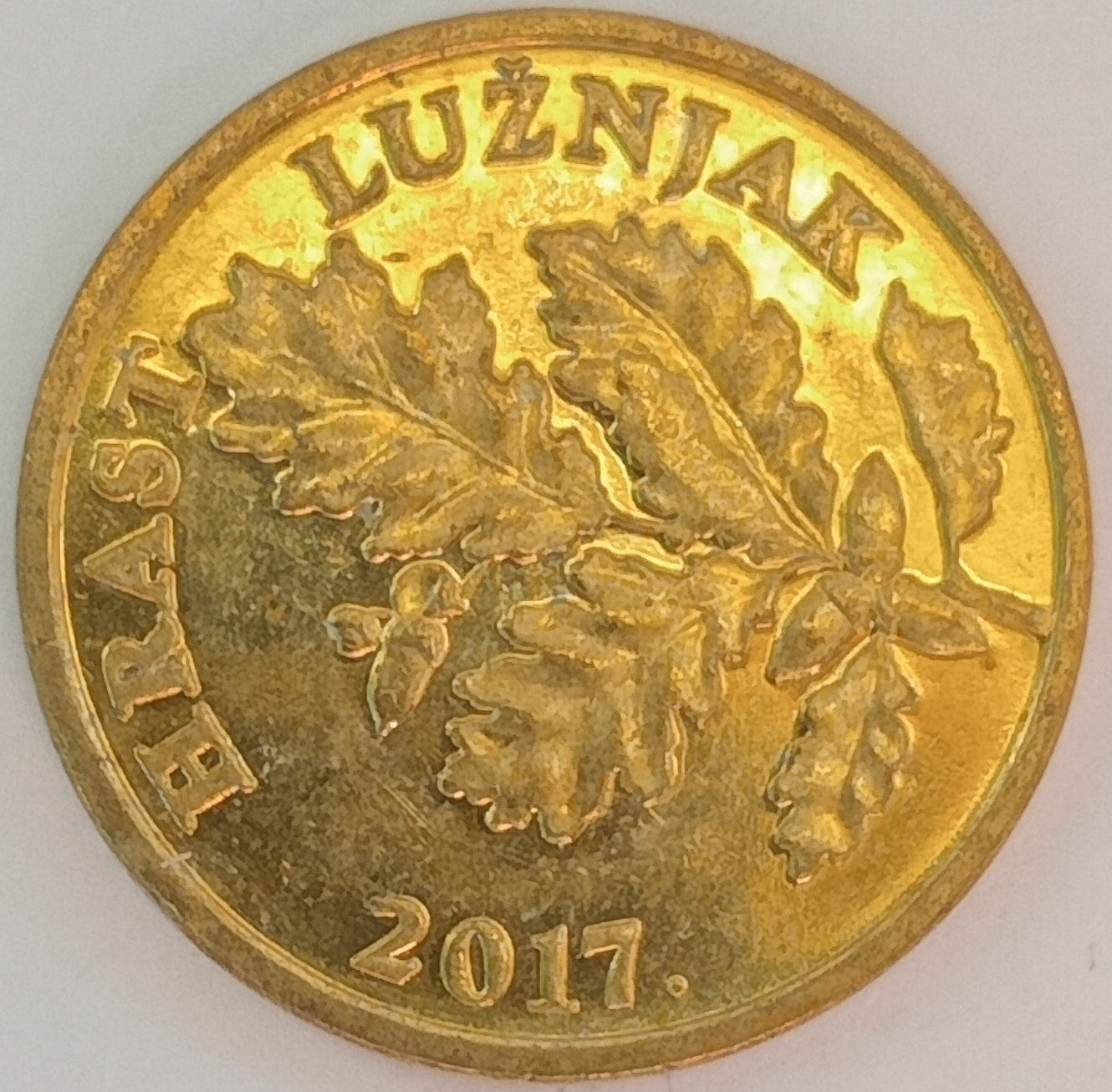 Chorwacja 5 Lipa 2017