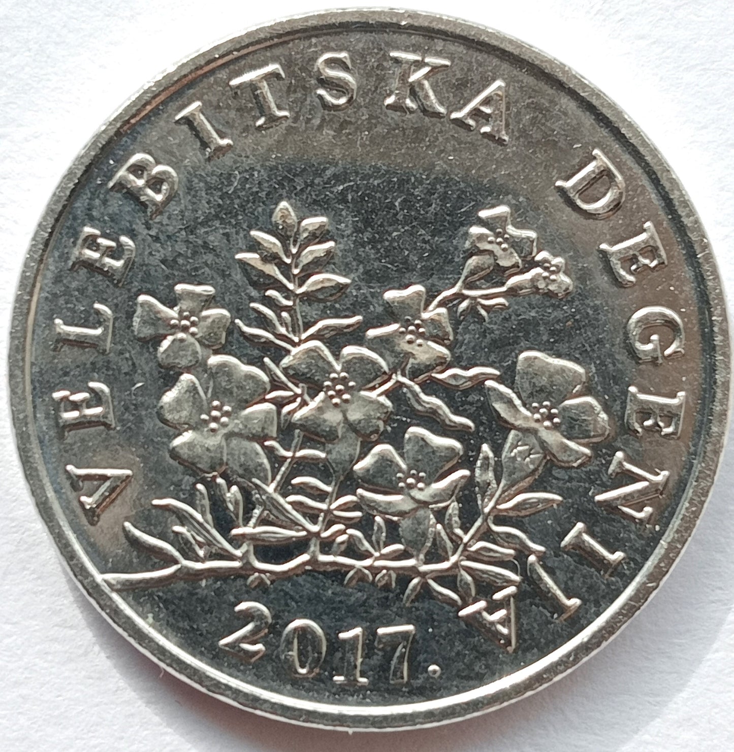 Chorwacja 50 Lipa 2017