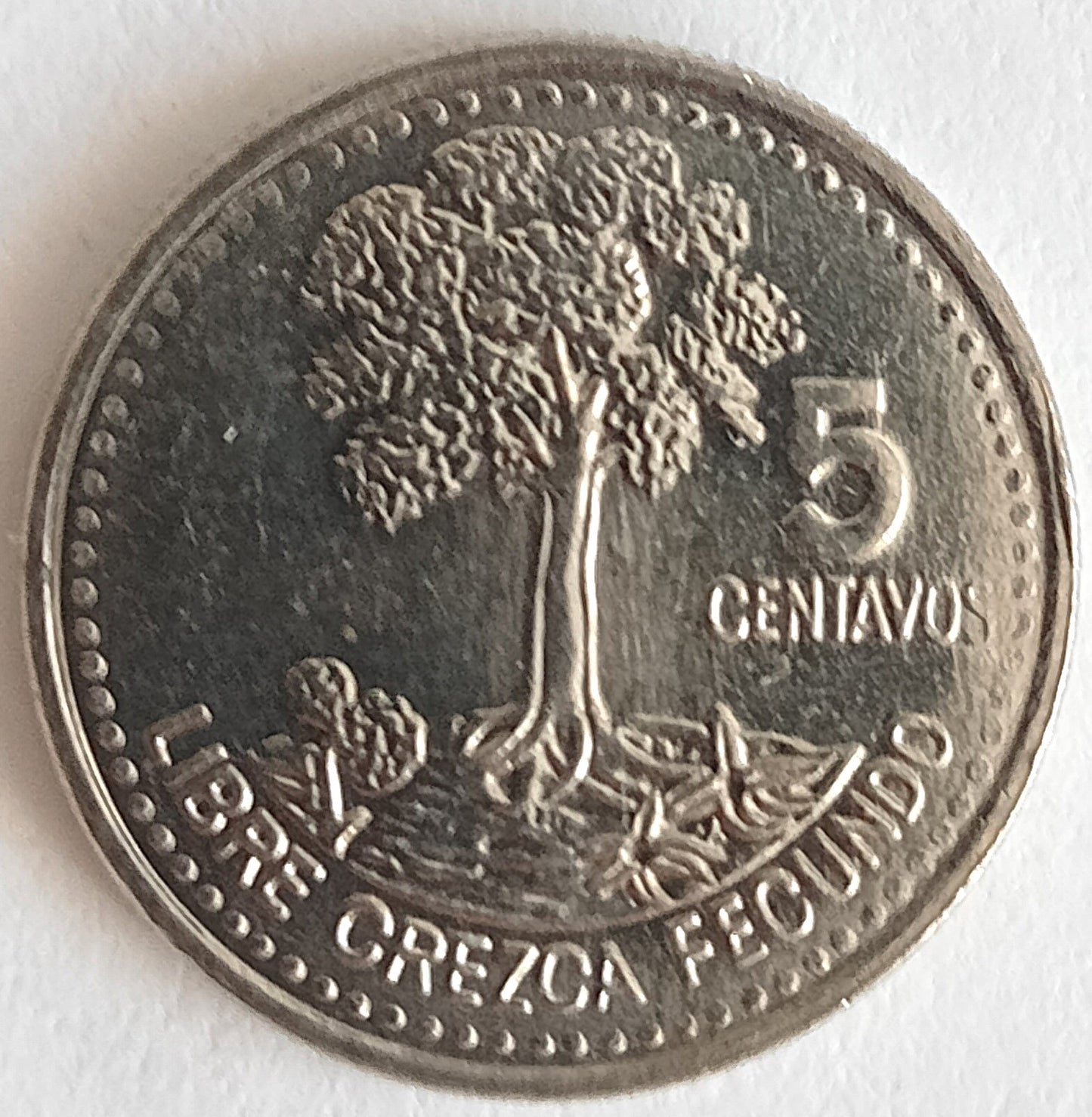 Gwatemala 5 Centavo 2008