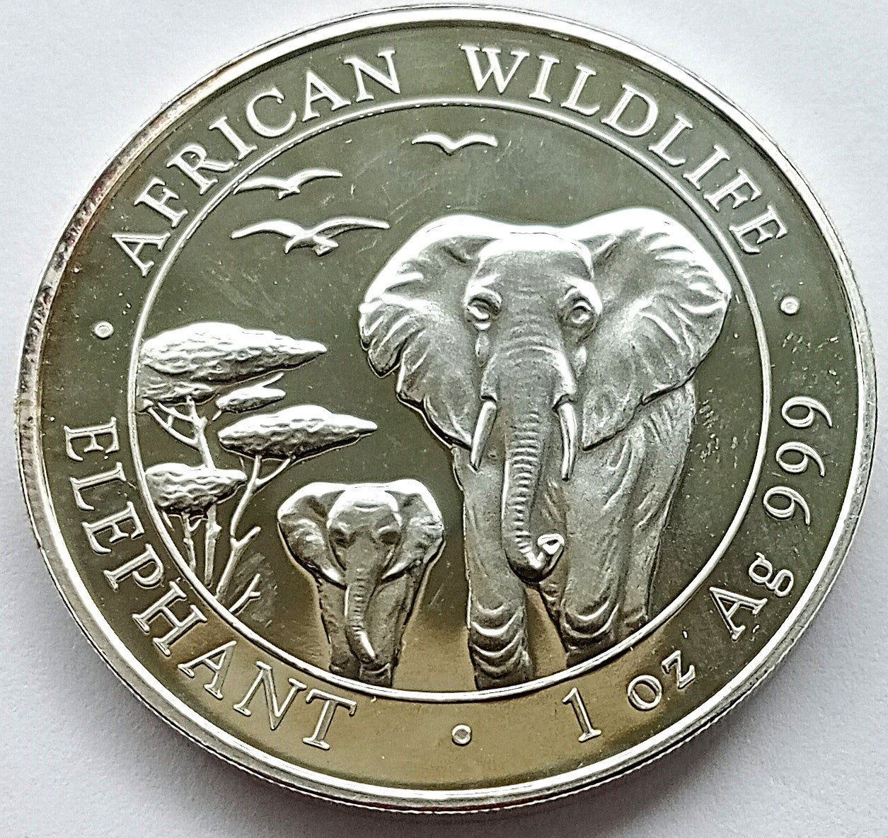 Somalia 100 Szylingów 2015 Fauna Afryki - słoń