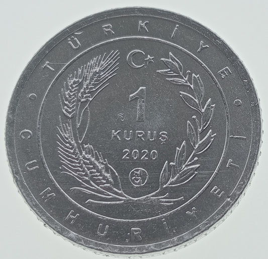 Turcja 1 Kurusz 2020 Dudek euroazjatycki