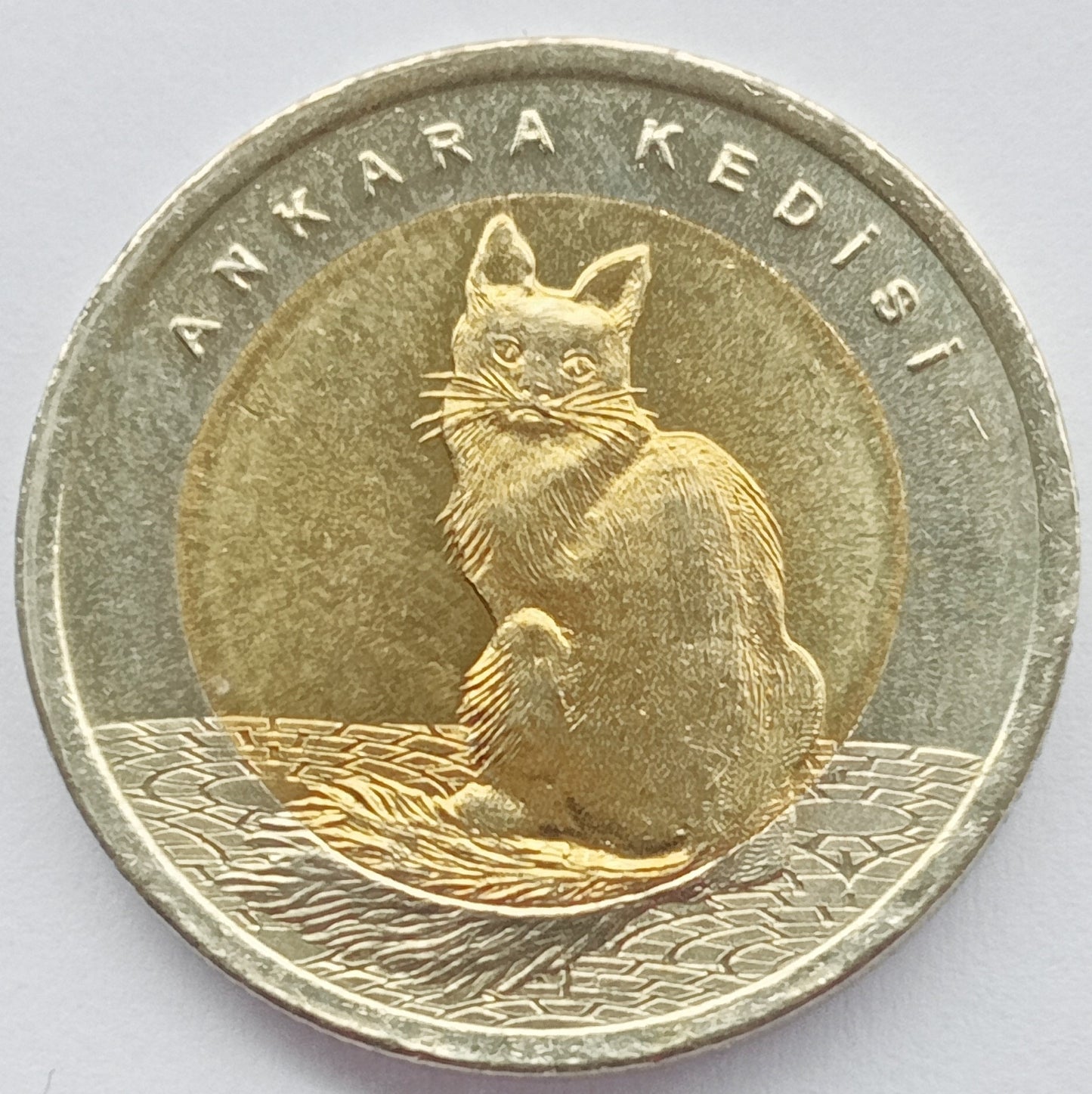 Turcja 1 Lira 2015 Angora turecka