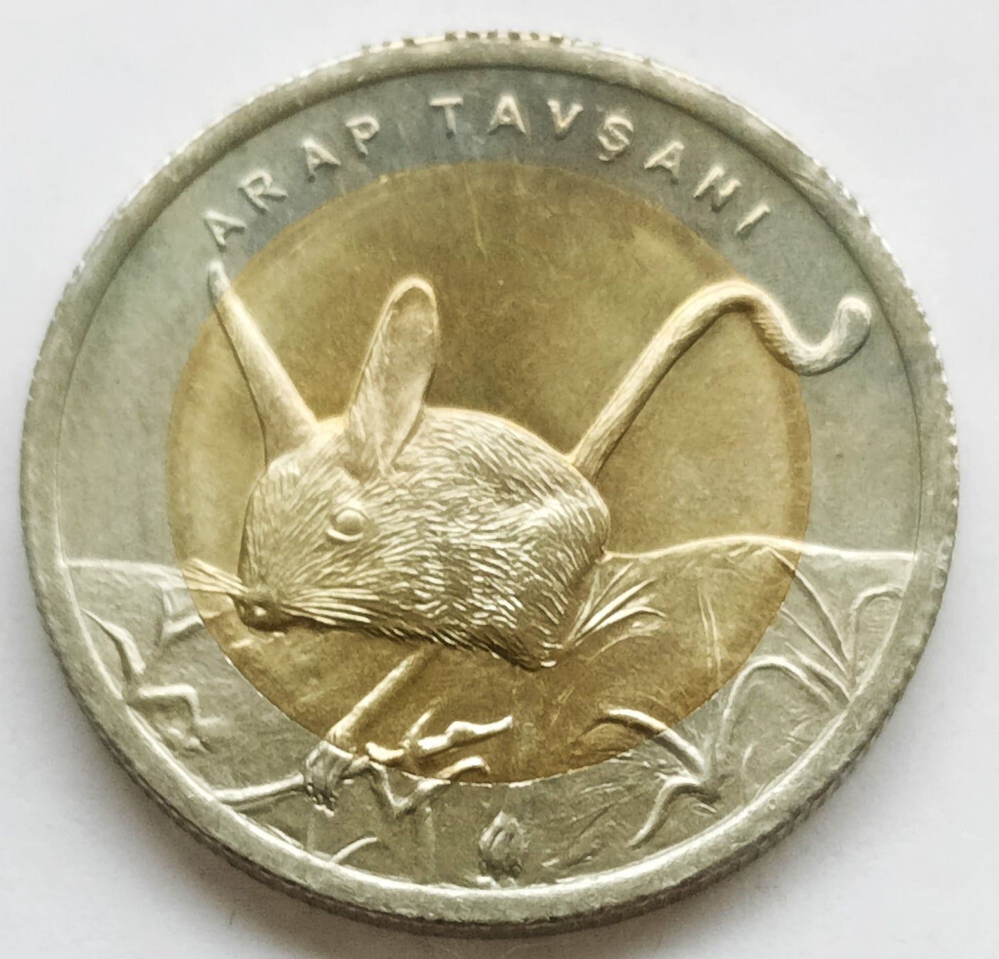 Turcja 1 Lira 2016 Skoczek pięciopalczasty