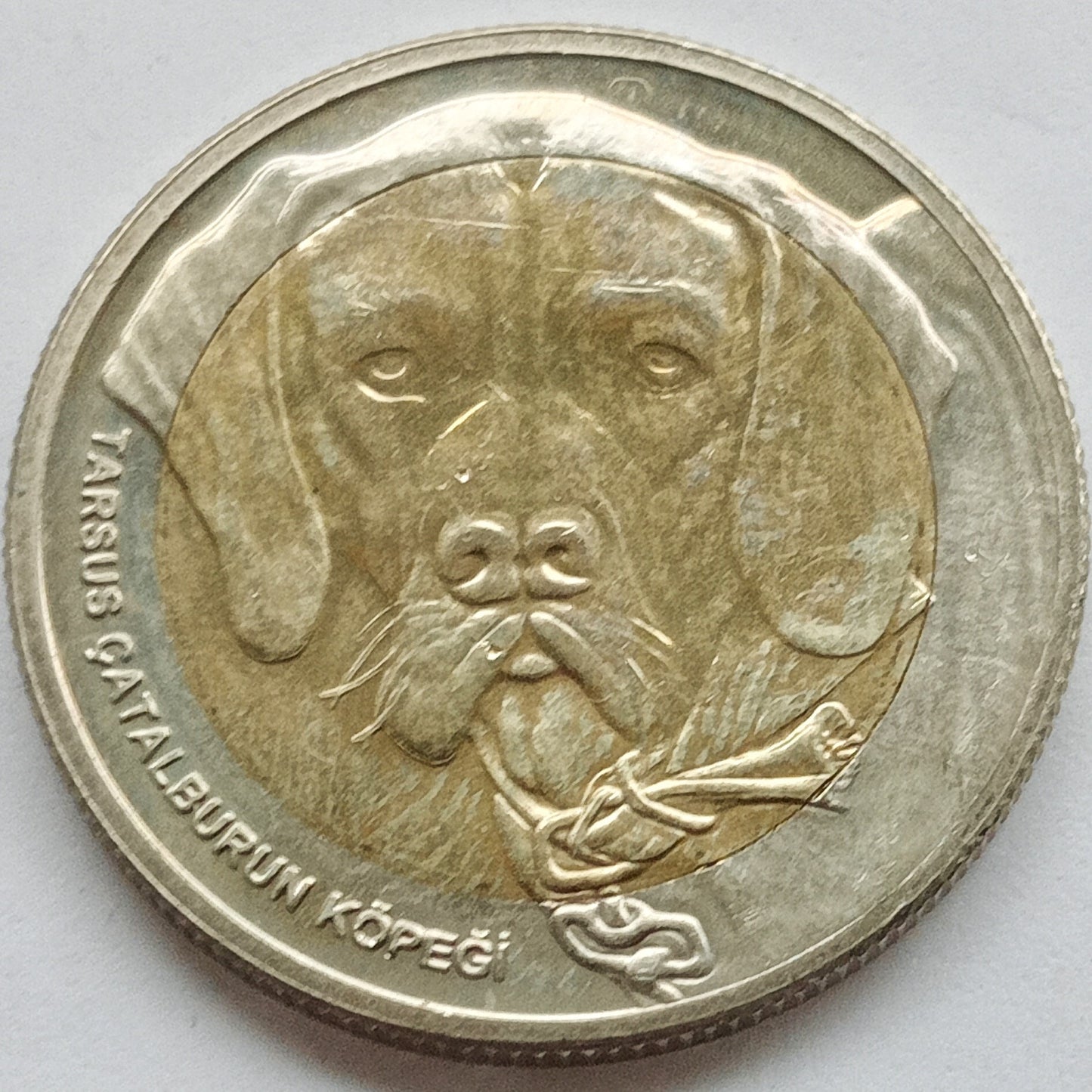 Turcja 1 Lira 2021 Tarsus çatalburun