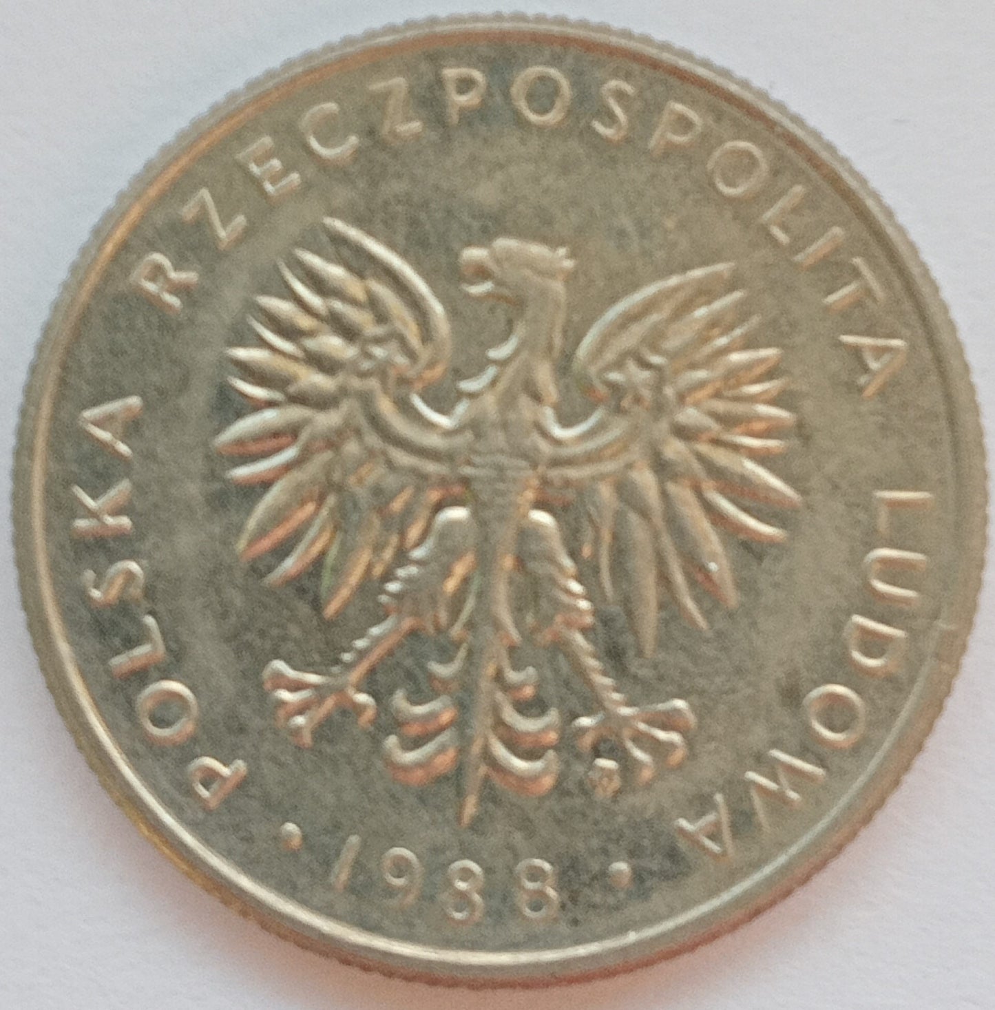 10 Złotych 1988