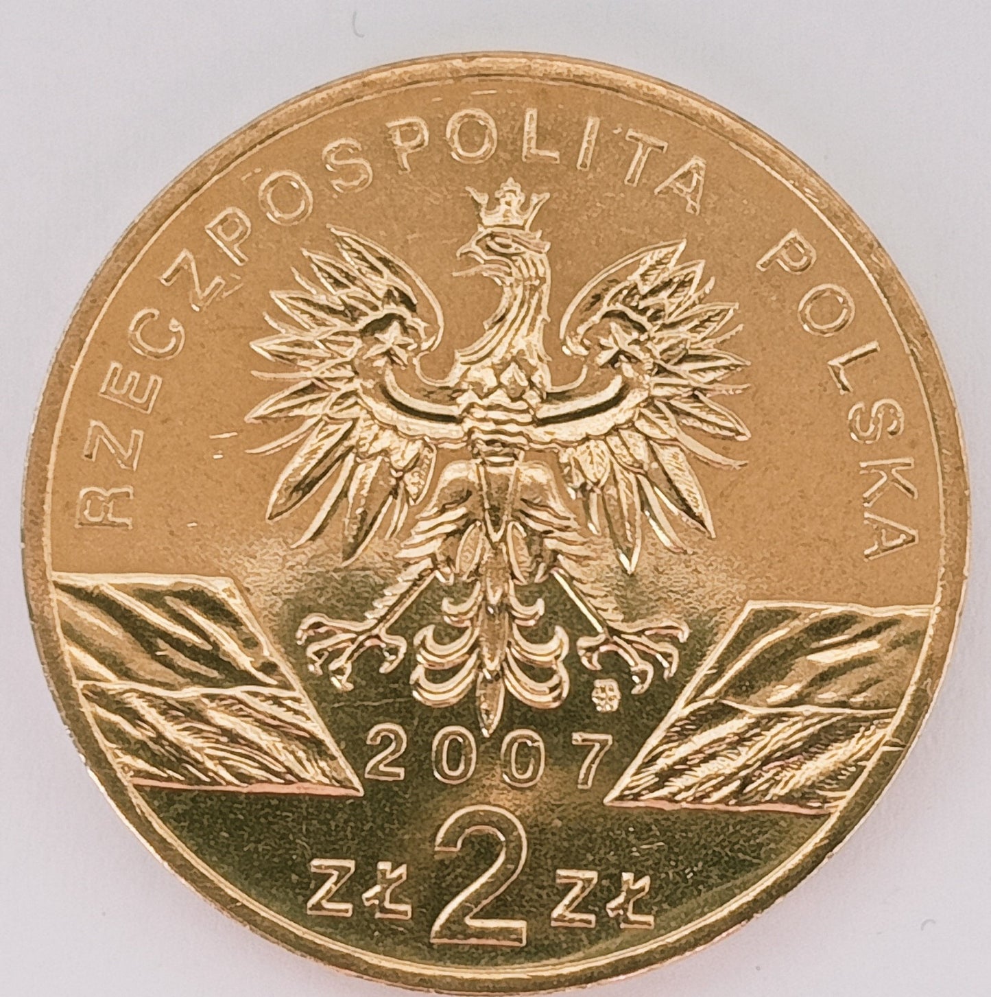 2 zł 2007 - Zwierzęta świata: Foka szara (łac. Halichoerus grypus)