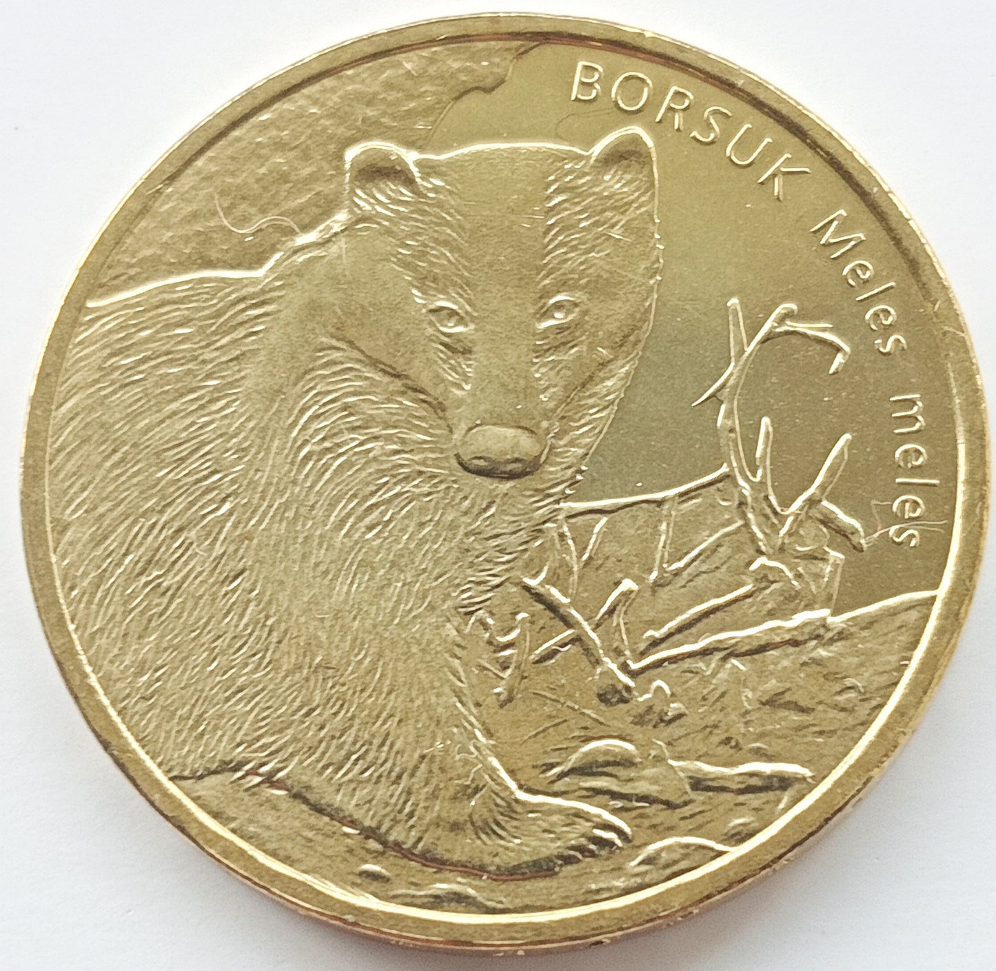 2 zł 2011 - Zwierzęta świata – borsuk (Meles meles)