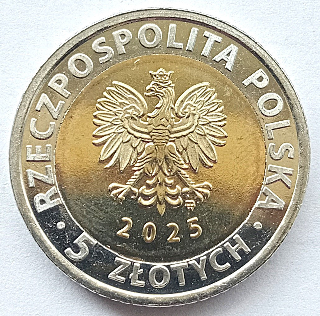 5 zł 2025 Odkryj Polskę - Tykocin