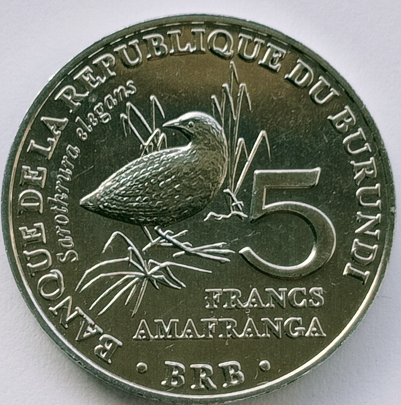 Burundi 5 Franków 2014  Kusokurka plamista (Sarothrura elegans)