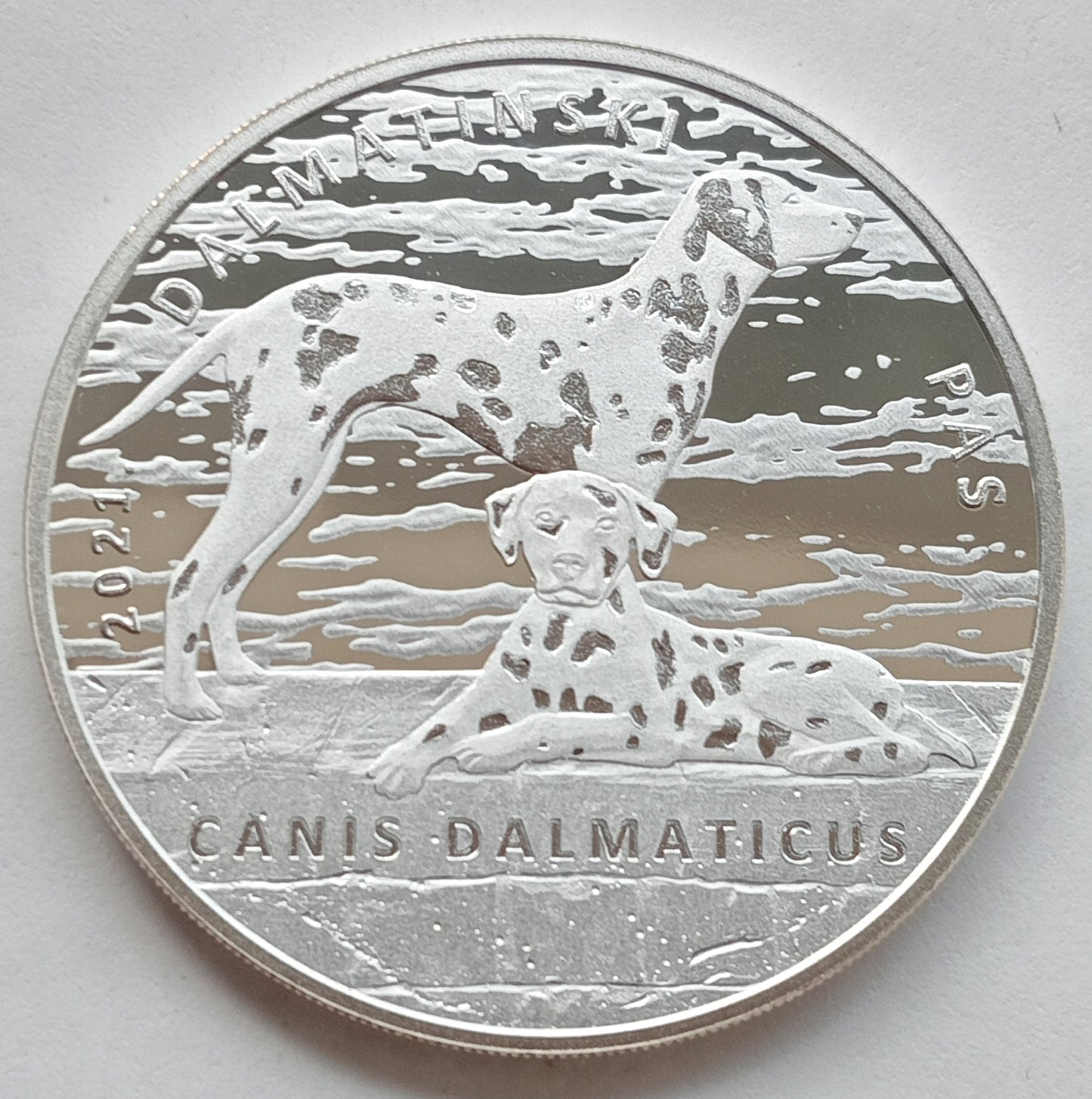 Chorwacja 10 Kuna 2021 Dalmatyńczyk