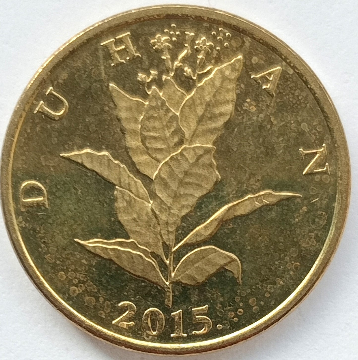 Chorwacja 10 Lipa 2019