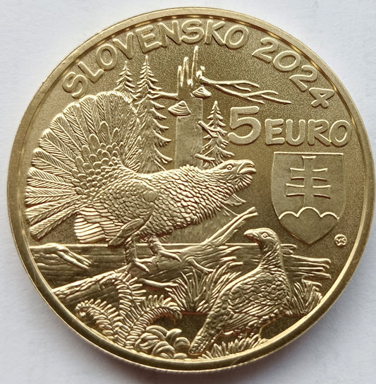 Słowacja 5 euro 2024 Głuszec zwyczajny