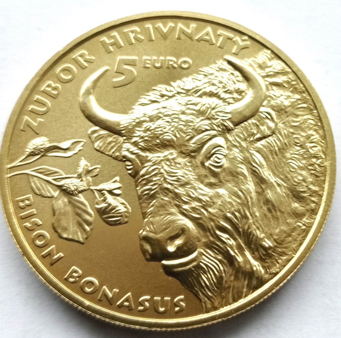 Słowacja 5 euro 2024 Żubr