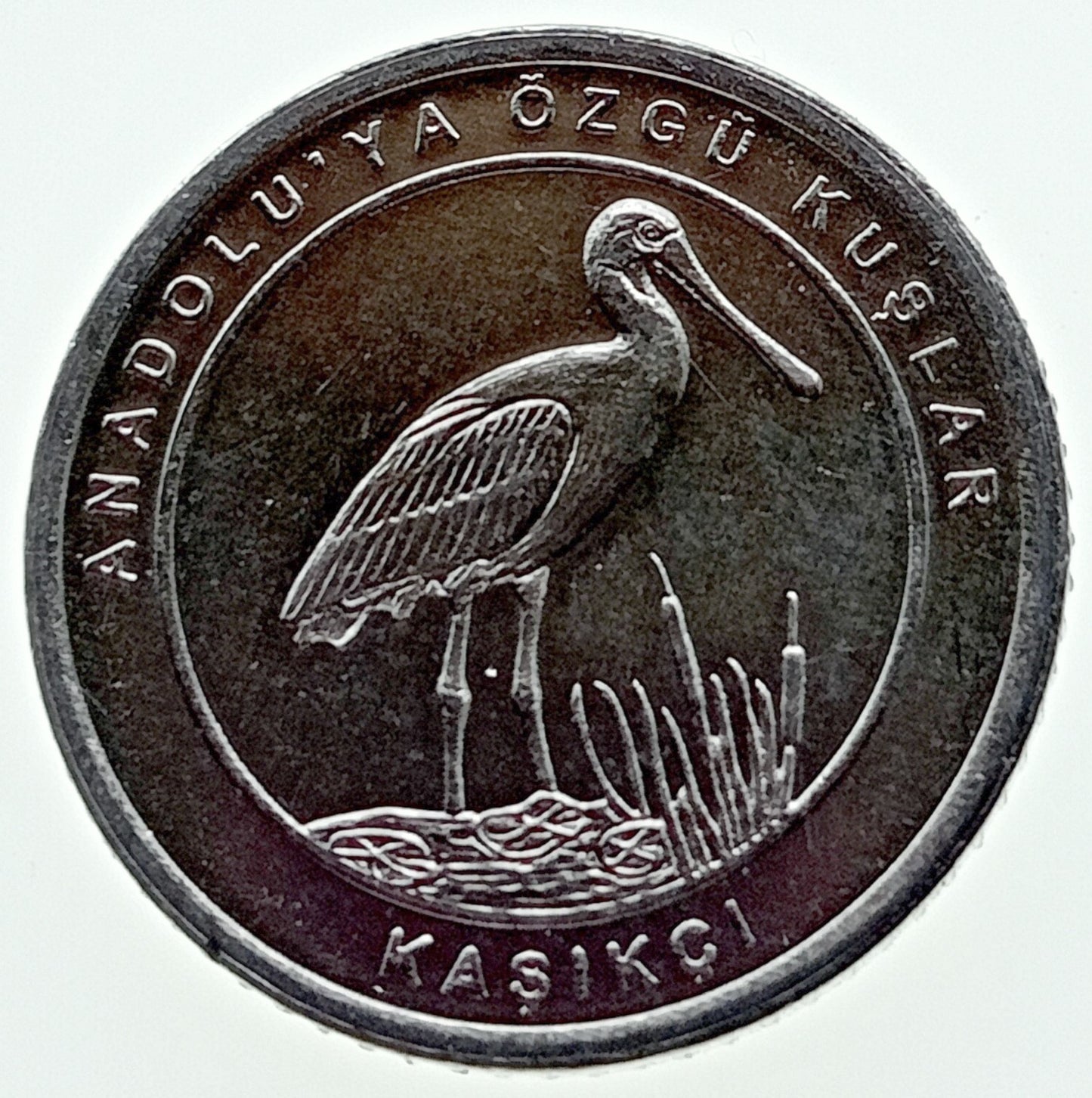 Turcja 1 Kurusz 2020 Spoonbill