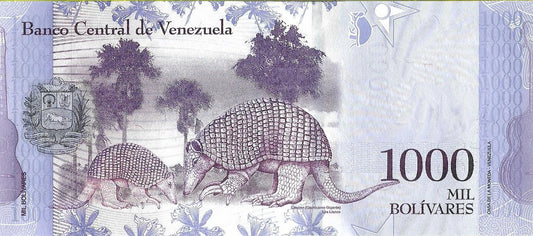 Wenezuela 1000 Bolivar 2017 - UNC